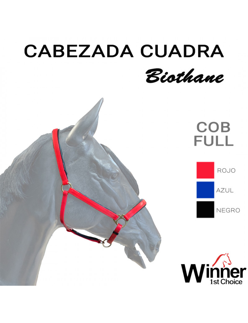 PERSONALIZADA CABEZADA CUADRA BIOTHANE WINNER