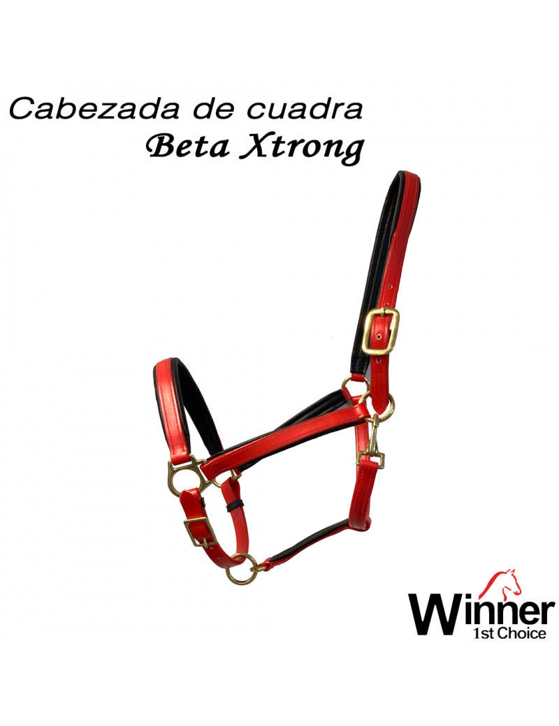 CAB. CUADRA BETA XTRONG WINNER