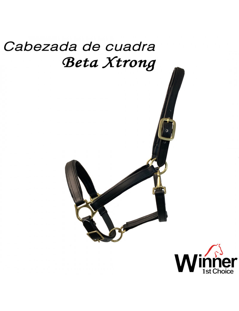 CAB. CUADRA BETA XTRONG WINNER