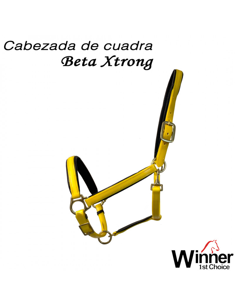 CAB. CUADRA BETA XTRONG WINNER