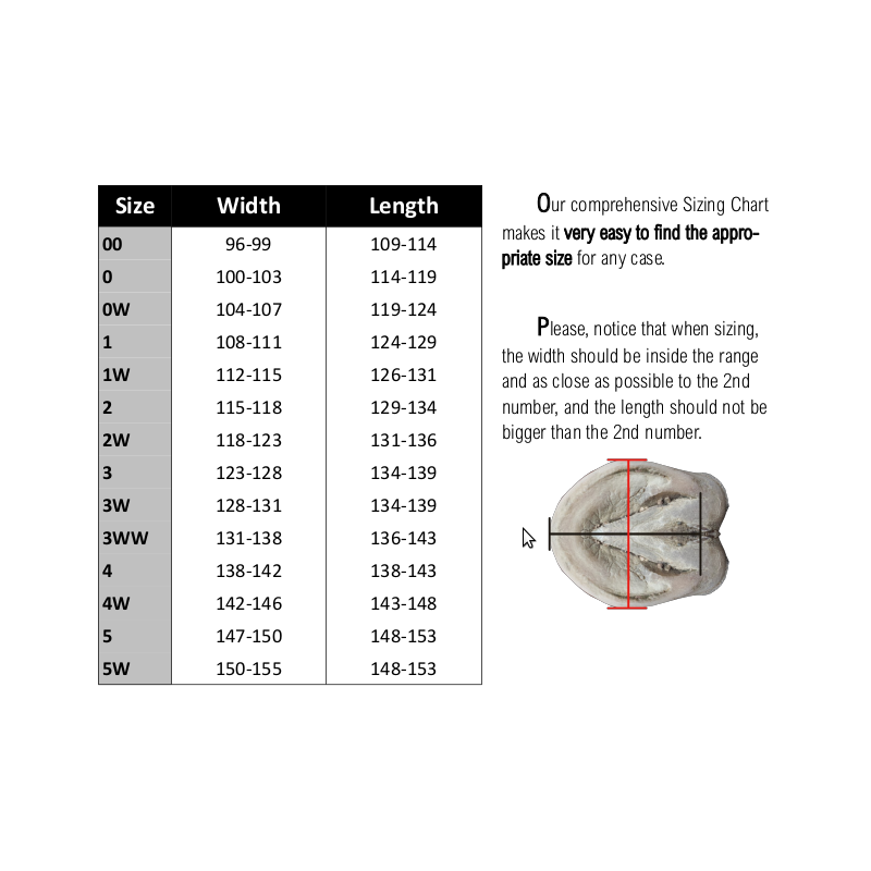 NEW BOTA EVO BOOT COMPLETA