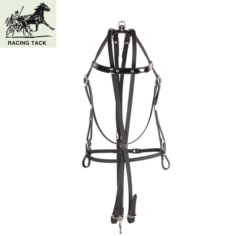 CABEZADA TROTE COMPLETA RACING TACK